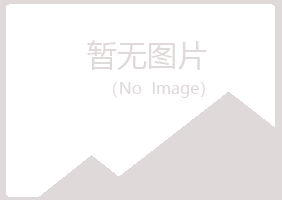 岚山区伤口能源有限公司